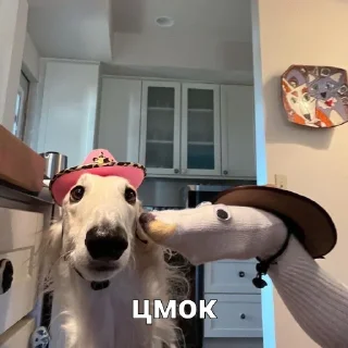 😘