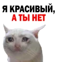 😊