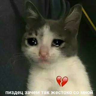 😭