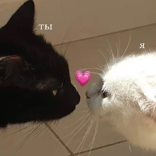 💗