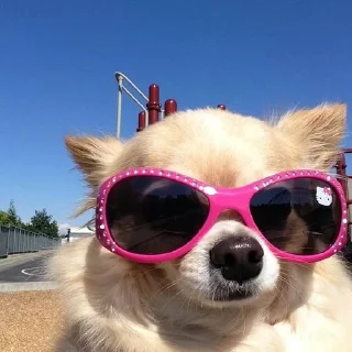 💅
