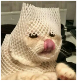 😋