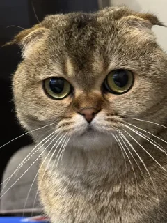 🤨
