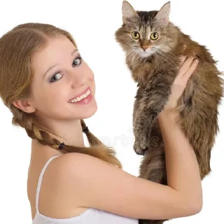 🐈