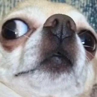 👀