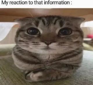 😊