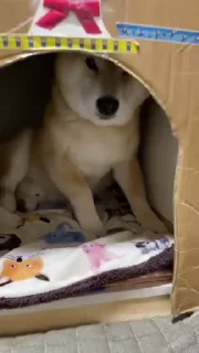 😋