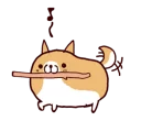 🐶