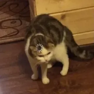 😄