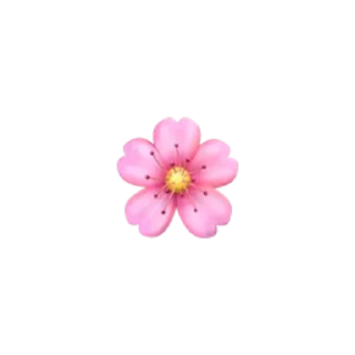 🌸