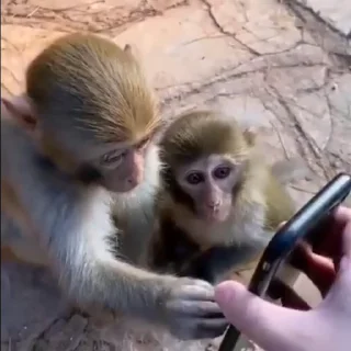 📱