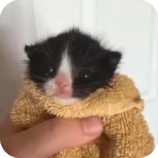 🔥