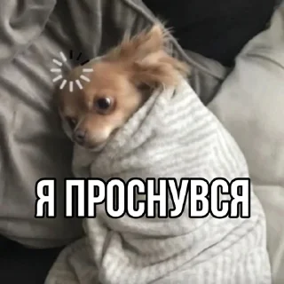 🥱
