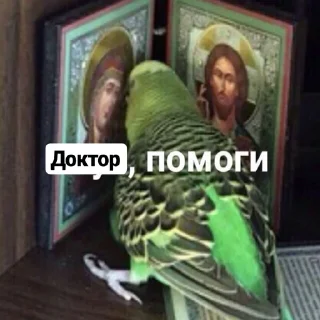🙏