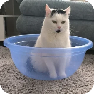 😶