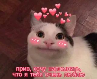 ❤️