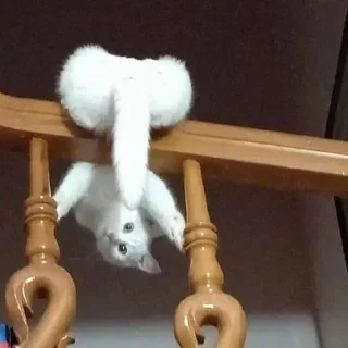 👀