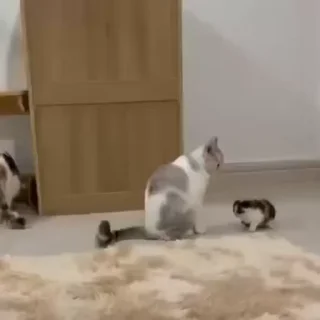 👊