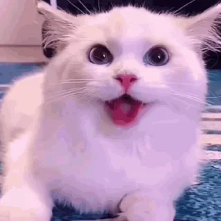 🙂