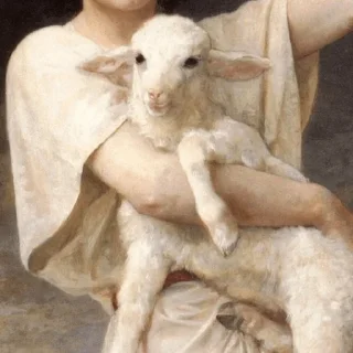 🐑