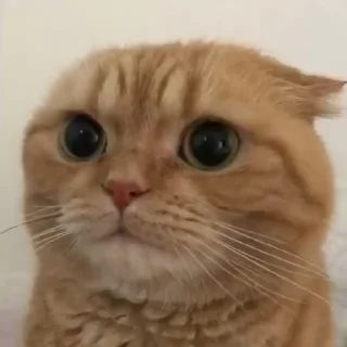 😐