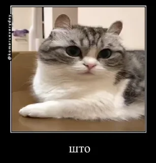 ❔