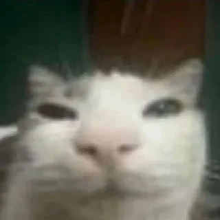😑