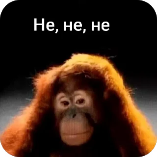 🚫