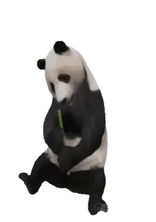Animals @stickersb2b