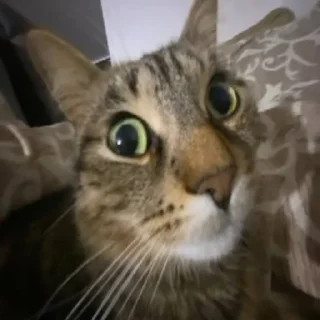 😠