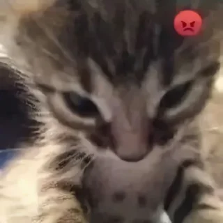 😡