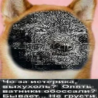 😎