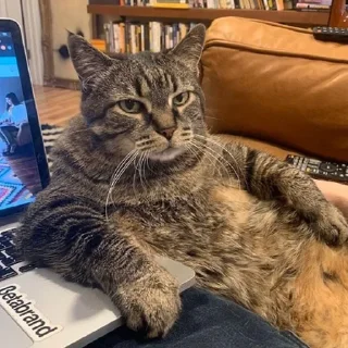 😐