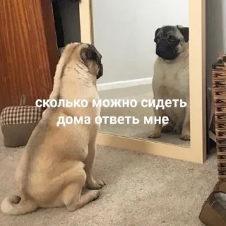 😒