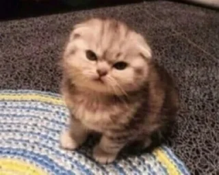 😡