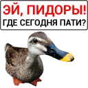 🦆