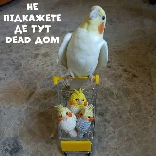 🤱