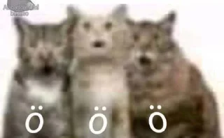 😲