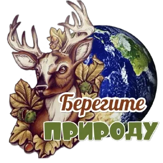 🦌