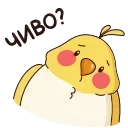❓