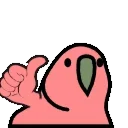 🦜