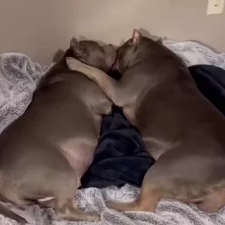 😘