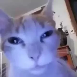 🤓