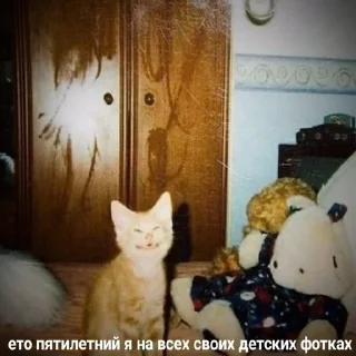 👽