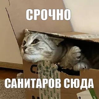 ⛑