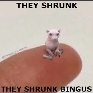 🥸