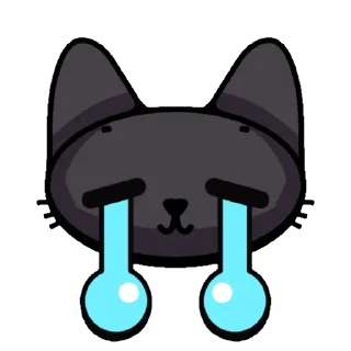 😿