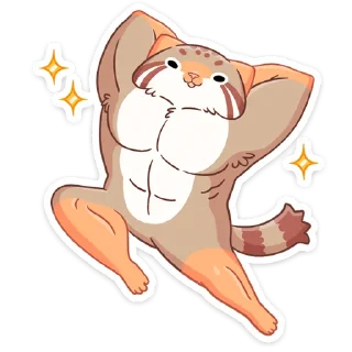 💪