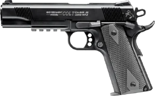 GUNS