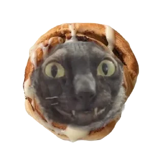 🍩